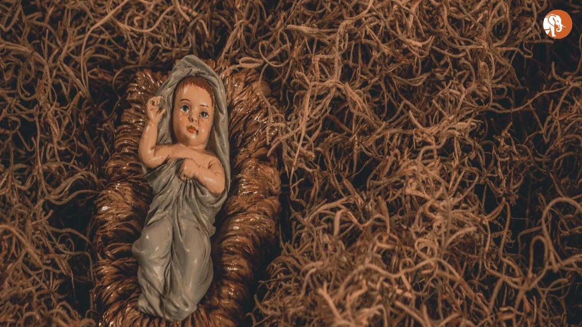 विंओना राइडर: एक प्रेरणादायक जीवन यात्रा