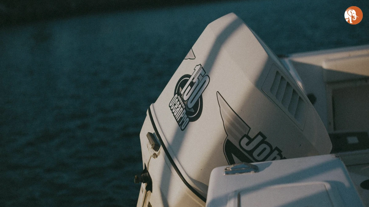 डकोटा जॉनसन का जन्मदिन: एक प्रेरणादायक यात्रा डकोटा जॉनसन का जन्मदिन: एक प्रेरणादायक यात्रा