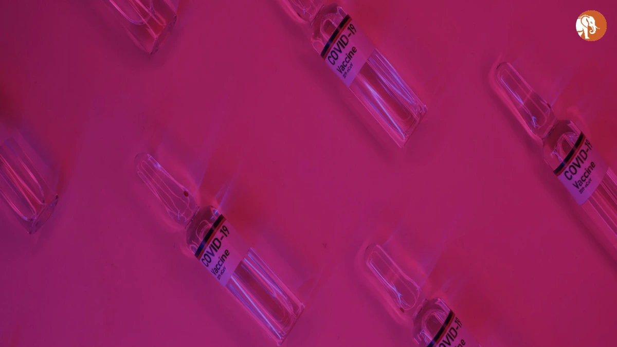 एलिसिया सिल्वरस्टोन का जन्मदिन: एक प्रेरणादायक यात्रा एलिसिया सिल्वरस्टोन का जन्मदिन: एक प्रेरणादायक यात्रा