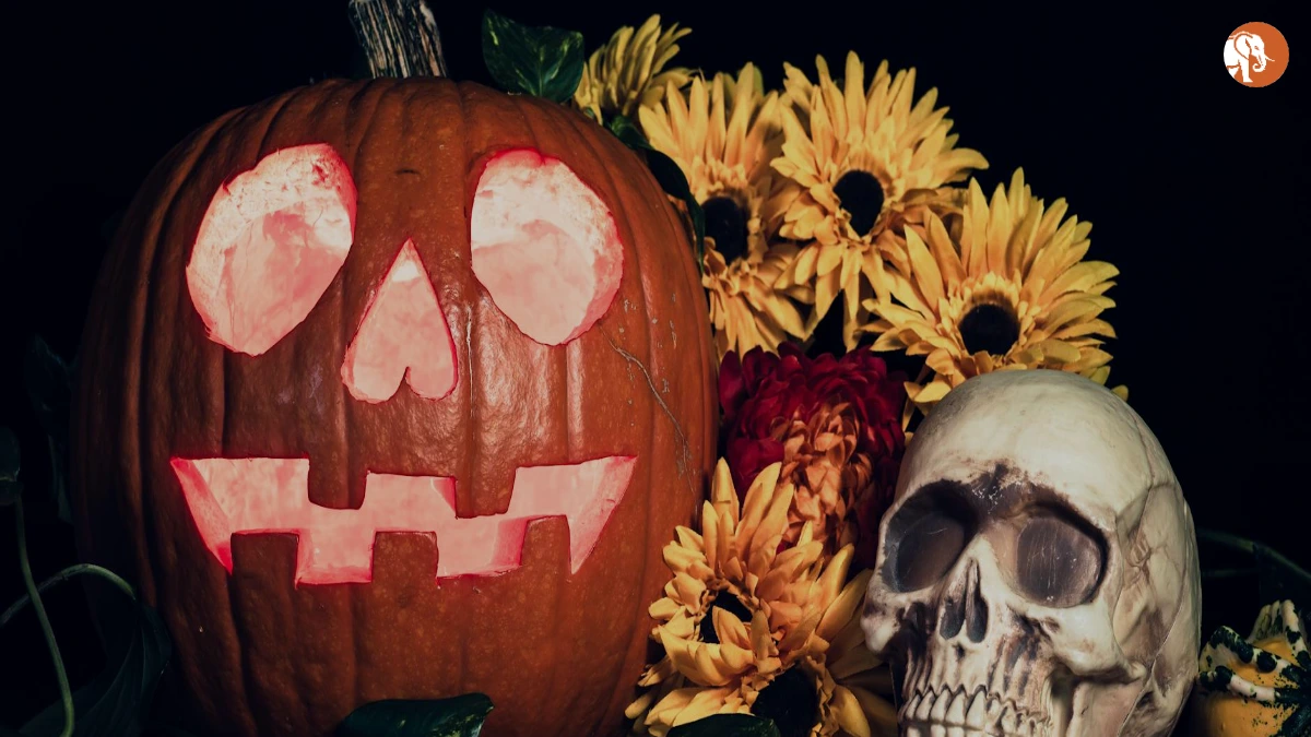 डेविड श्विमर का प्रेरणादायक जीवन और करियर