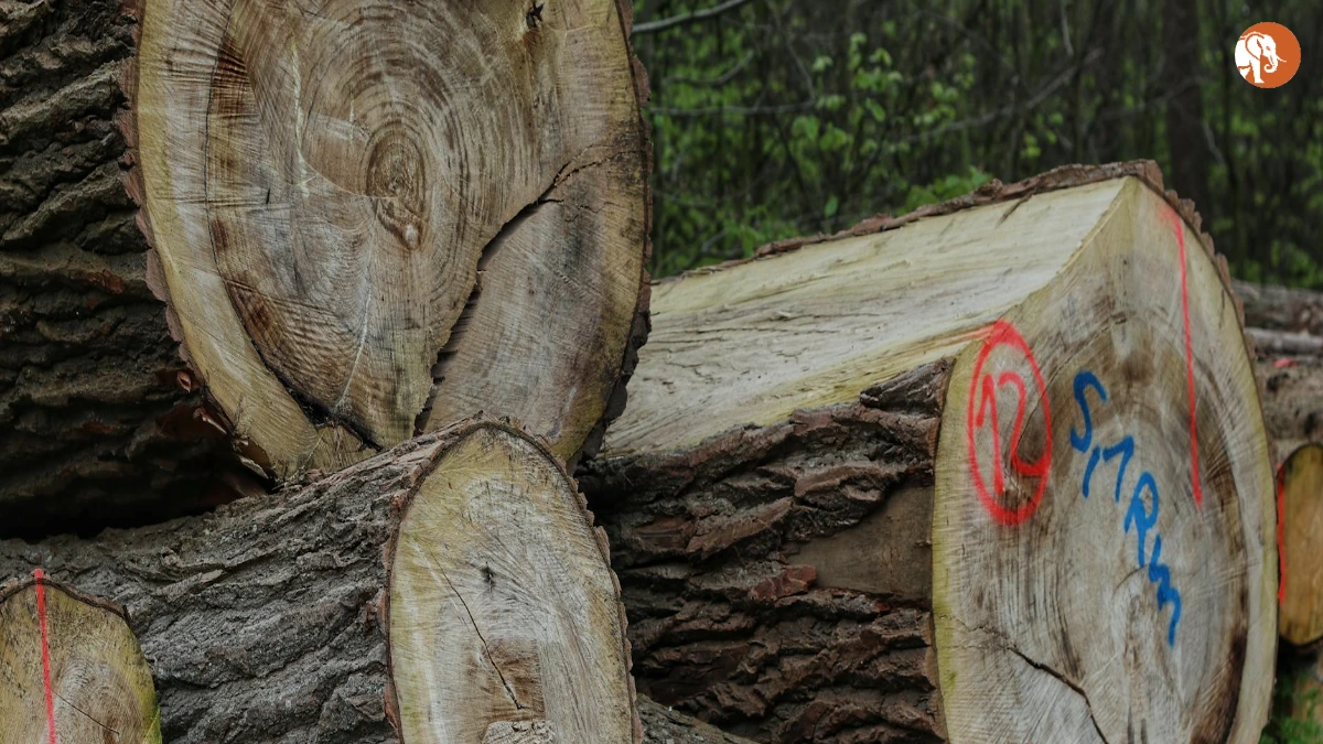 जोश हचरसन: एक प्रतिभाशाली हॉलीवुड अभिनेता की प्रेरणादायक कहानी