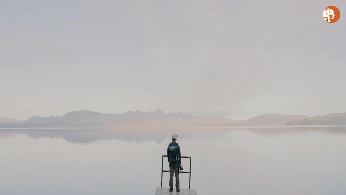 फ्रेडी हाईमोर: प्रेरणादायक कहानी और जन्मदिन की विशेषता फ्रेडी हाईमोर: प्रेरणादायक कहानी और जन्मदिन की विशेषता