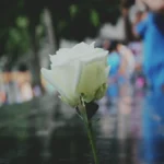 शक्ति सिंह का जन्मदिन: एक प्रेरणादायक यात्रा