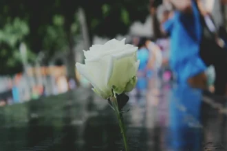 शक्ति सिंह का जन्मदिन: एक प्रेरणादायक यात्रा