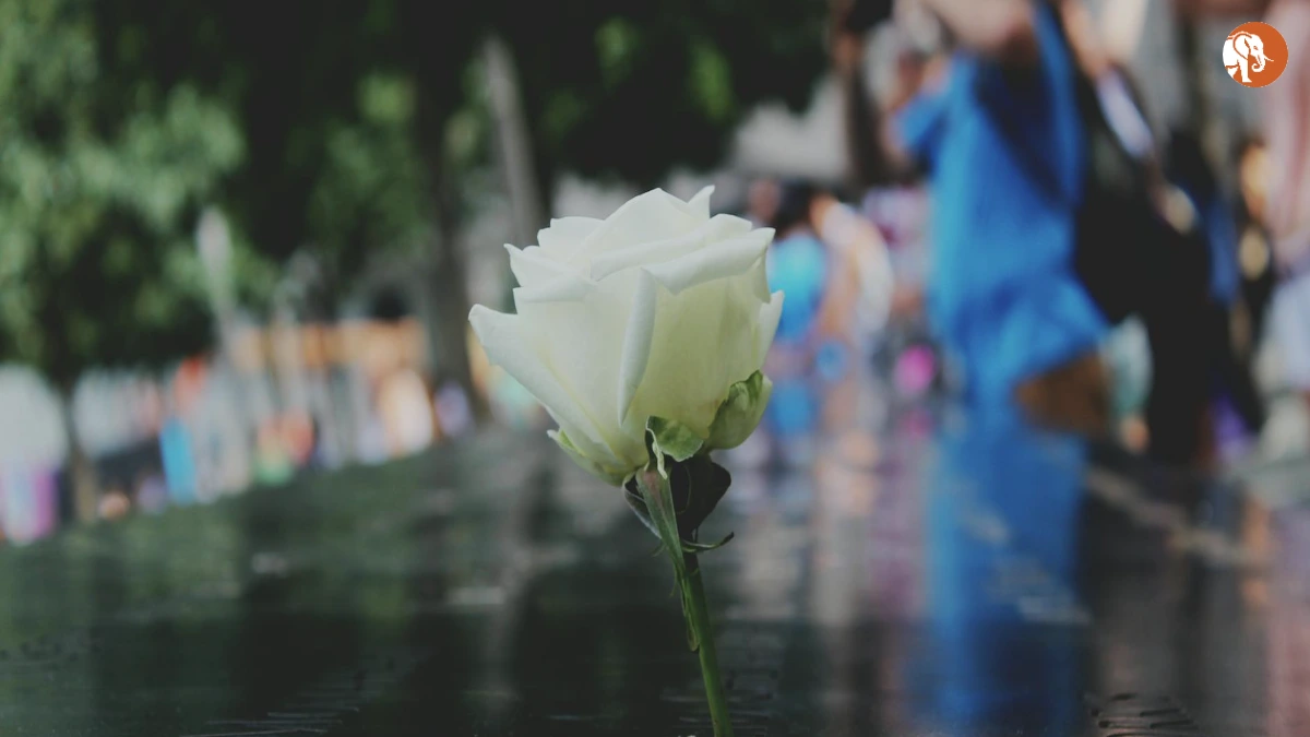 शक्ति सिंह का जन्मदिन: एक प्रेरणादायक यात्रा शक्ति सिंह का जन्मदिन: एक प्रेरणादायक यात्रा