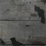 लैरी वॉल: एक प्रेरणादायक प्रोग्रामिंग जननता