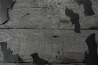 लैरी वॉल: एक प्रेरणादायक प्रोग्रामिंग जननता