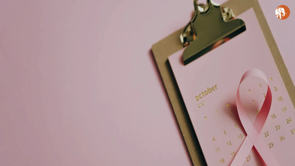 मिखाइल कालाश्निकोव: एक प्रेरणादायक जीवन कथा मिखाइल कालाश्निकोव: एक प्रेरणादायक जीवन कथा