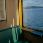 रॉजर किंग्स्टन: एक प्रेरणादायक यात्रा