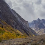 जेसिका लुका: एक प्रेरणादायक जन्मदिन