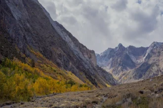 जेसिका लुका: एक प्रेरणादायक जन्मदिन