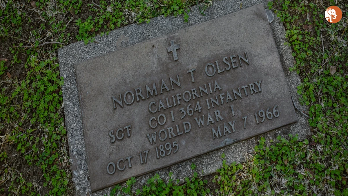 माइकल मैकेन का जन्मदिन और उनकी प्रेरणादायक यात्रा