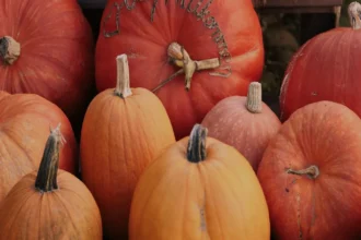 जॉर्ज पेपर: एक प्रेरणादायक यात्रा