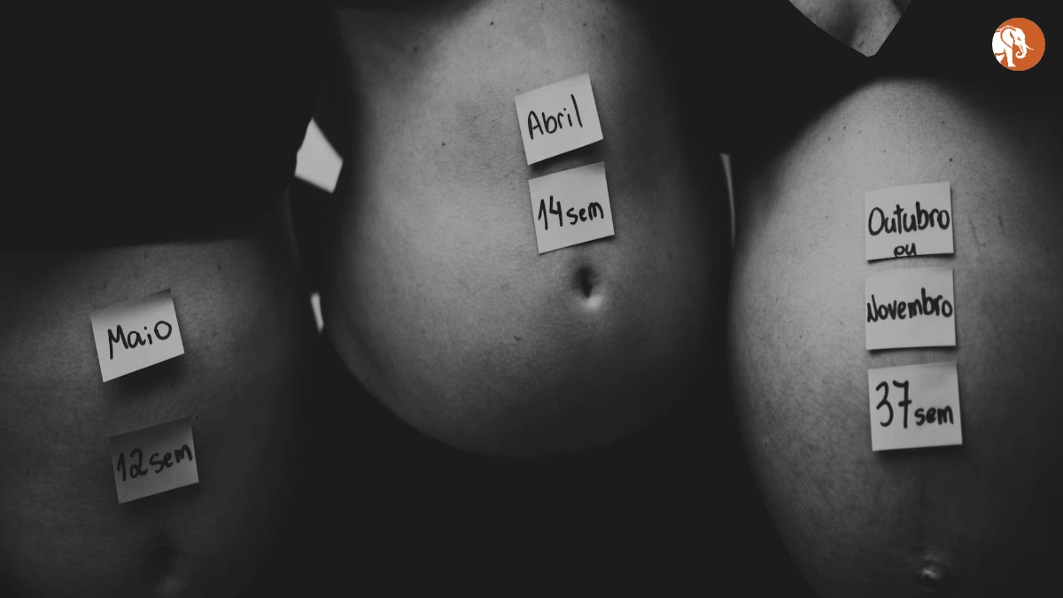 Mia Wasikowska: एक प्रेरणादायक सफर