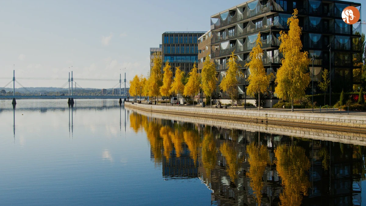 धनु राशिफल अक्टूबर 2025: एक संतोषजनक भविष्य की ओर धनु राशिफल अक्टूबर 2025: एक संतोषजनक भविष्य की ओर