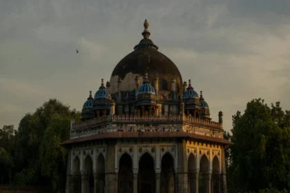 दिल्ली में वर्चुअल सुनवाई में अजीब दृश्य: अभियुक्त अंडरगारमेंट में उपस्थित