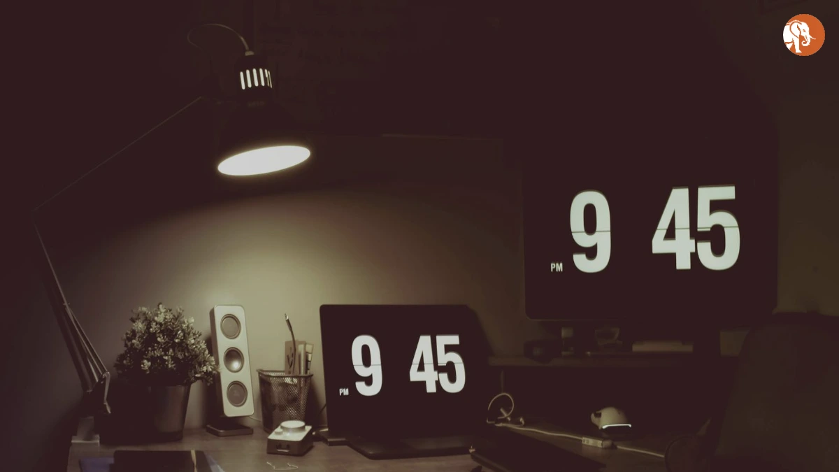 दिल्ली-गुरुग्राम एक्सप्रेसवे पर सड़क सुरक्षा: हालात और उपाय दिल्ली-गुरुग्राम एक्सप्रेसवे पर सड़क सुरक्षा: हालात और उपाय