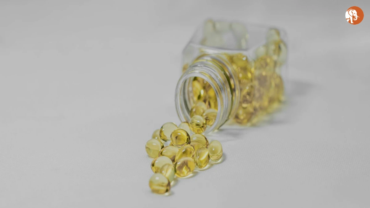 दिल्ली के प्रगति मैदान के निकट हथियारबंद डकैती: 3 आरोपी गिरफ्तार दिल्ली के प्रगति मैदान के निकट हथियारबंद डकैती: 3 आरोपी गिरफ्तार