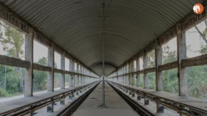 दिल्ली स्टेशन पर भगदड़ की पूरी जानकारी: मौत का आंकड़ा और सुरक्षा सवाल