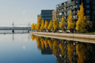 नाशिक में 2025 के पहले 9 महीनों में हत्याओं का बढ़ता मामला