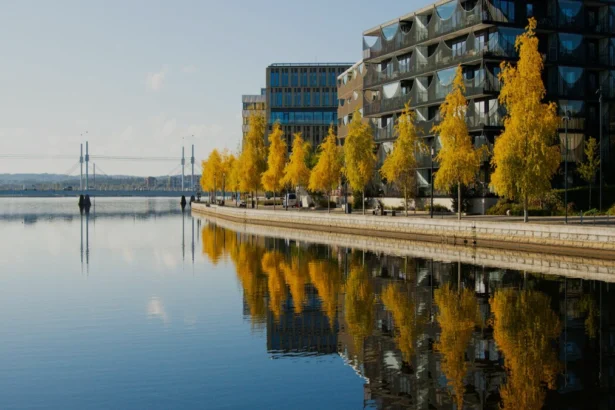 नाशिक में 2025 के पहले 9 महीनों में हत्याओं का बढ़ता मामला