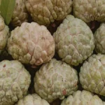 पुणे चुनावों में बढ़ती चुनावी हिंसा: एक विश्लेषण