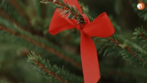 CSDS संजय कुमार के खिलाफ FIR: 2024 चुनावों पर संभावित प्रभाव