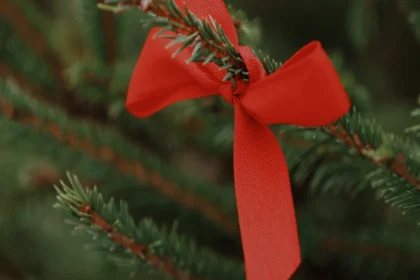 CSDS संजय कुमार के खिलाफ FIR: 2024 चुनावों पर संभावित प्रभाव