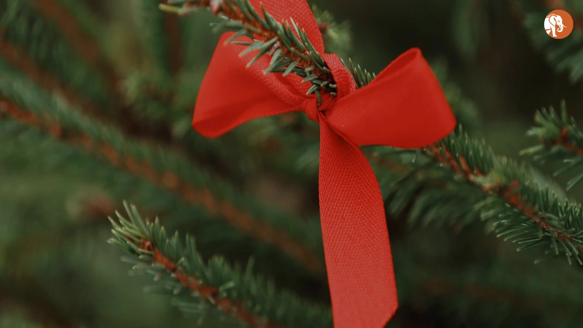 CSDS संजय कुमार के खिलाफ FIR: 2024 चुनावों पर संभावित प्रभाव CSDS संजय कुमार के खिलाफ FIR: 2024 चुनावों पर संभावित प्रभाव