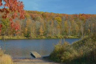 लखनऊ साइबर हेल्पलाइन: 30 करोड़ की बचत और ऑनलाइन सुरक्षा का बढ़ता प्रभाव