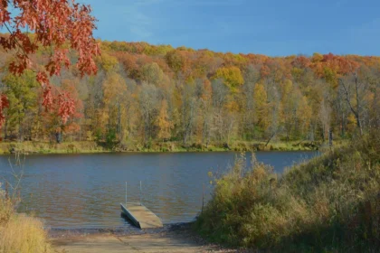 लखनऊ साइबर हेल्पलाइन: 30 करोड़ की बचत और ऑनलाइन सुरक्षा का बढ़ता प्रभाव