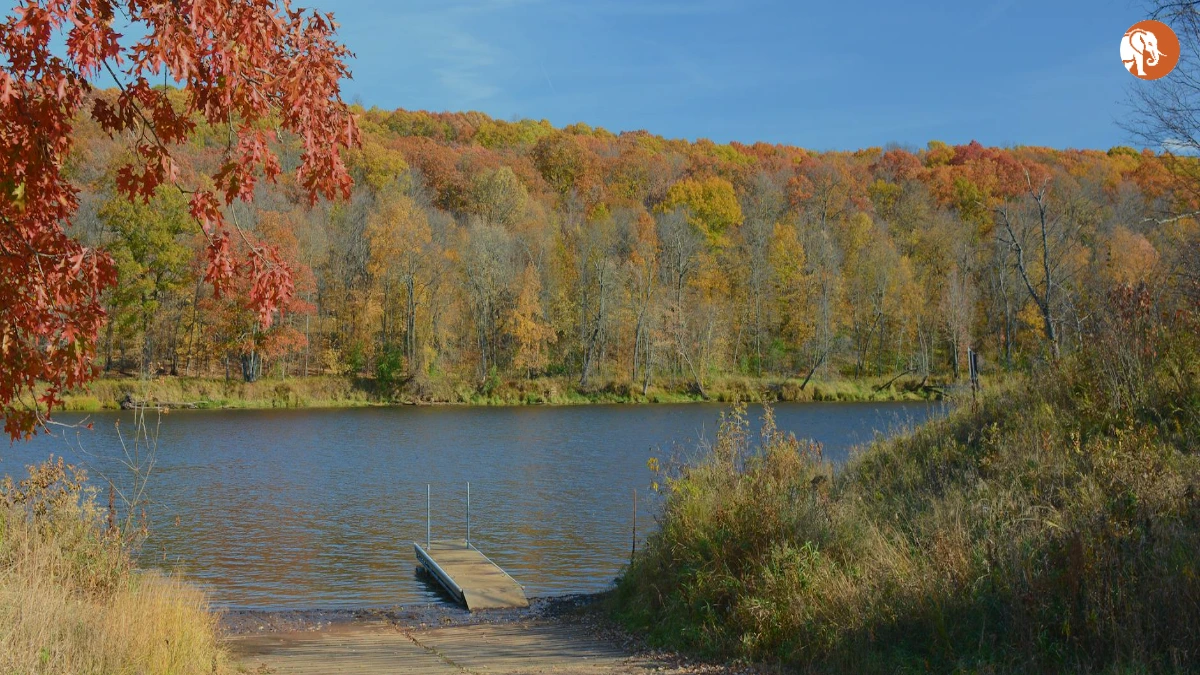 लखनऊ साइबर हेल्पलाइन: 30 करोड़ की बचत और ऑनलाइन सुरक्षा का बढ़ता प्रभाव