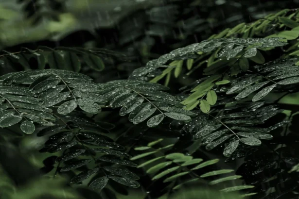 Meerut में माँ-बेटी के बीच हत्या के प्रयास का मामला: घटनाक्रम और समाज पर प्रभाव