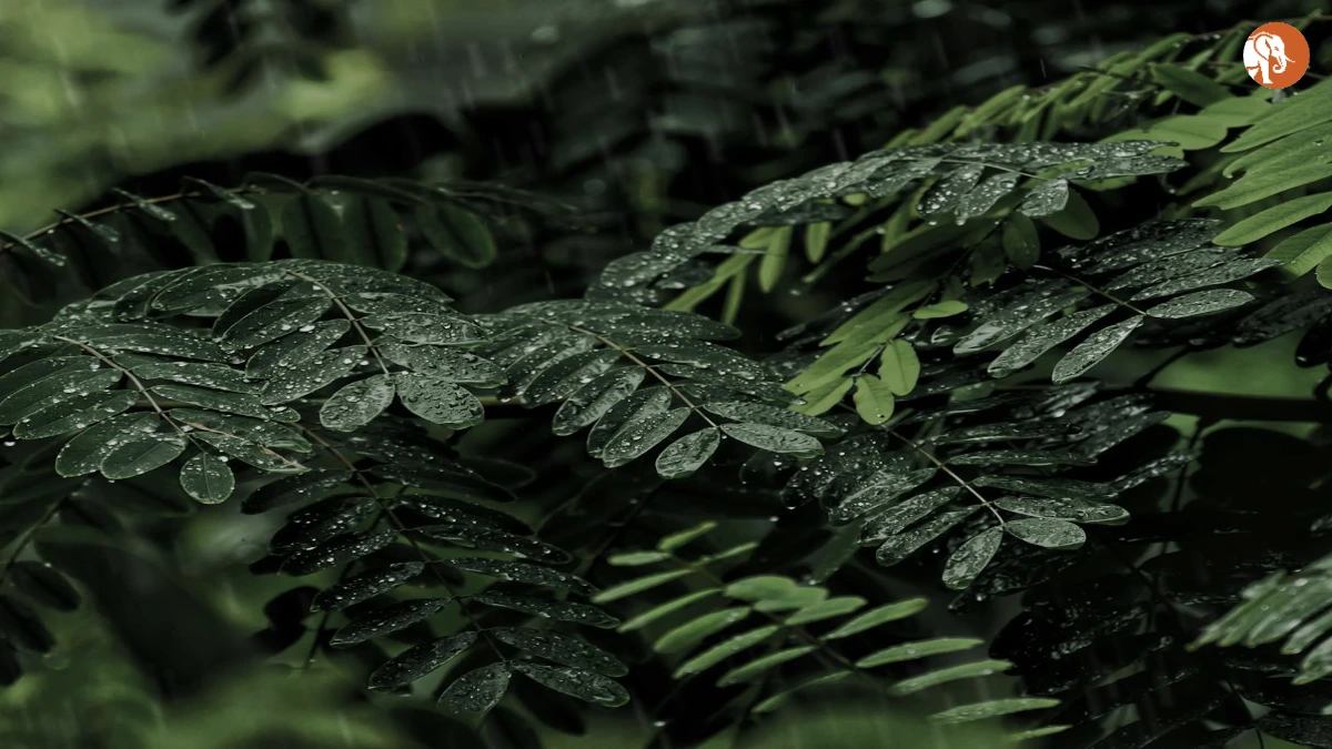 Meerut में माँ-बेटी के बीच हत्या के प्रयास का मामला: घटनाक्रम और समाज पर प्रभाव Meerut में माँ-बेटी के बीच हत्या के प्रयास का मामला: घटनाक्रम और समाज पर प्रभाव