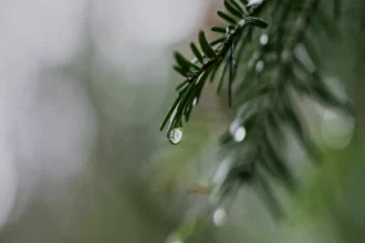 गौतम बुद्ध नगर में ASGI प्रॉपर्टीज के खिलाफ FIR: रियल एस्टेट धोखाधड़ी की जांच