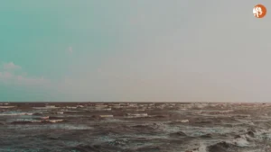 Kharpora हत्या मामले में मानसिक स्वास्थ्य की भूमिका और समुदाय की प्रतिक्रिया