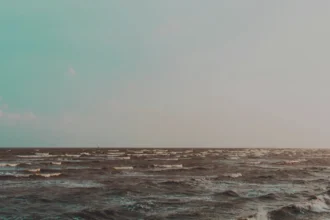 Kharpora हत्या मामले में मानसिक स्वास्थ्य की भूमिका और समुदाय की प्रतिक्रिया