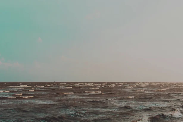 Kharpora हत्या मामले में मानसिक स्वास्थ्य की भूमिका और समुदाय की प्रतिक्रिया