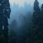 Darjeeling और Mirik Hills में भारी बारिश के कारण प्राकृतिक आपदा