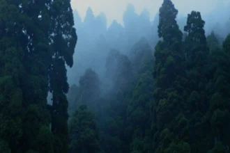 Darjeeling और Mirik Hills में भारी बारिश के कारण प्राकृतिक आपदा