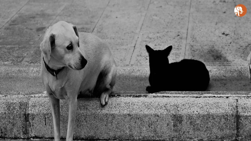 हरियाणा में अपराध की स्थिति: हुड्डा और सैनी सरकार की समीक्षा