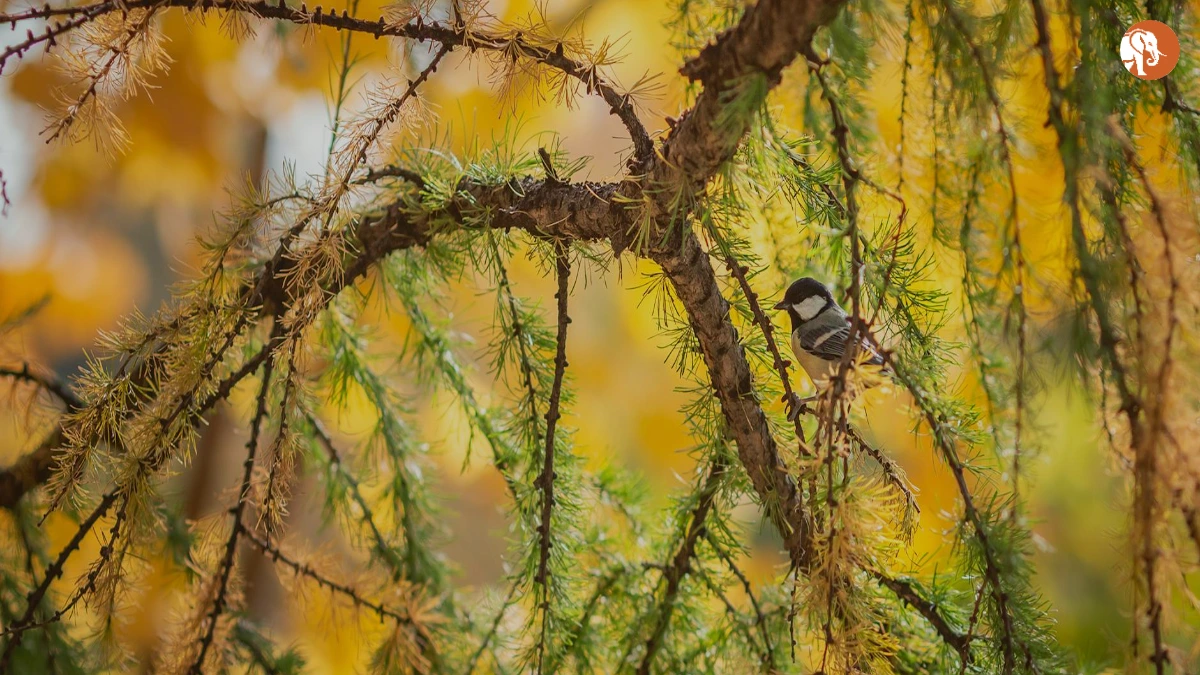 झारखंड में बिजली चोरी के खिलाफ कार्रवाई: FIR दर्ज करने की प्रक्रिया और राज्य सरकार के कदम झारखंड में बिजली चोरी के खिलाफ कार्रवाई: FIR दर्ज करने की प्रक्रिया और राज्य सरकार के कदम