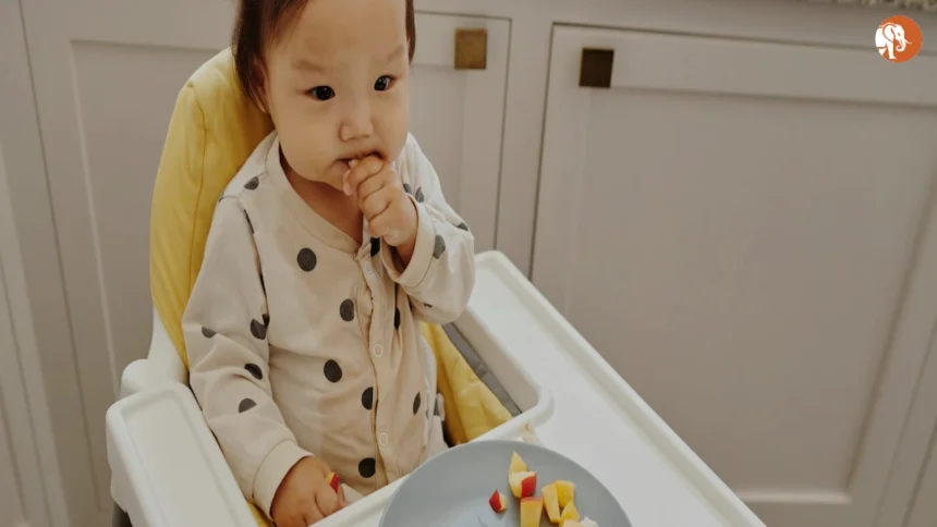 झारखंड सरकार ने मANGO (पूर्व सिंहभूम) में नया पुलिस उप-विभाग मंजूर किया