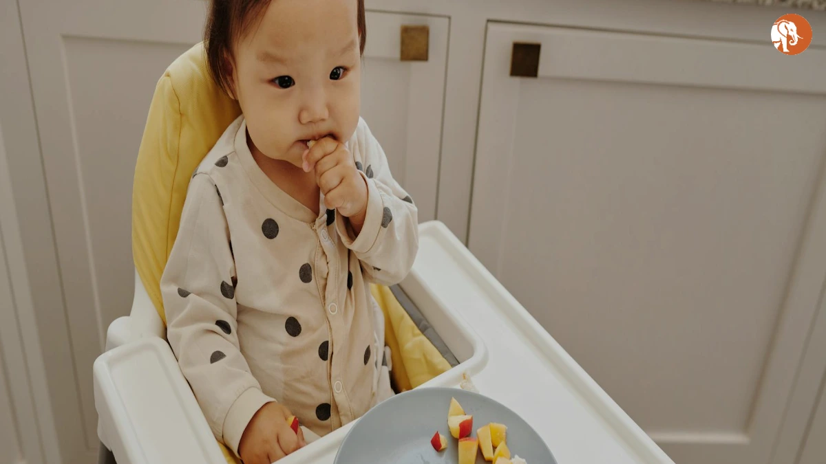 झारखंड सरकार ने मANGO (पूर्व सिंहभूम) में नया पुलिस उप-विभाग मंजूर किया झारखंड सरकार ने मANGO (पूर्व सिंहभूम) में नया पुलिस उप-विभाग मंजूर किया