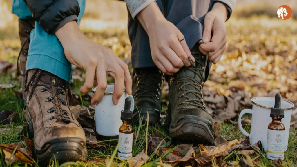 OPEC+ का तेल उत्पादन: 2025 में बदलाव और भविष्य के प्रभाव