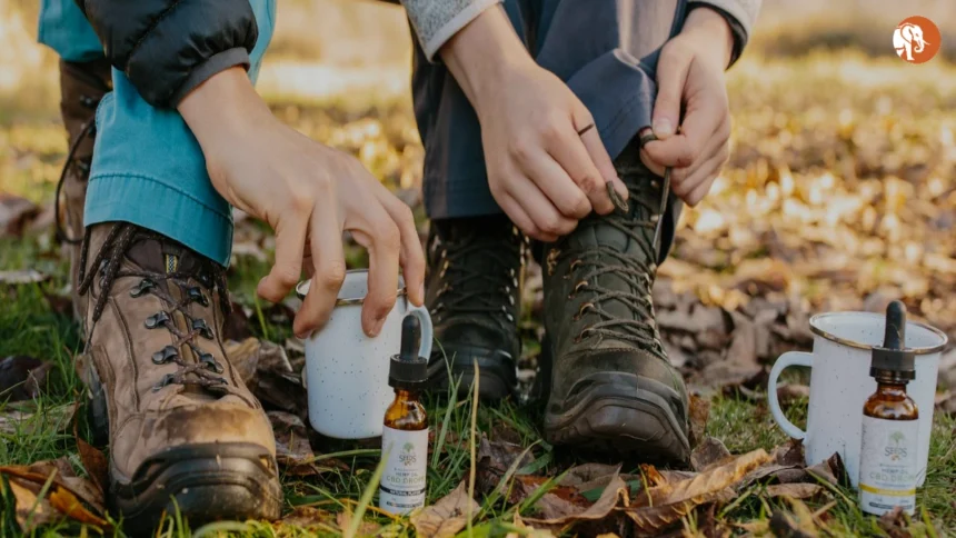 OPEC+ का तेल उत्पादन: 2025 में बदलाव और भविष्य के प्रभाव