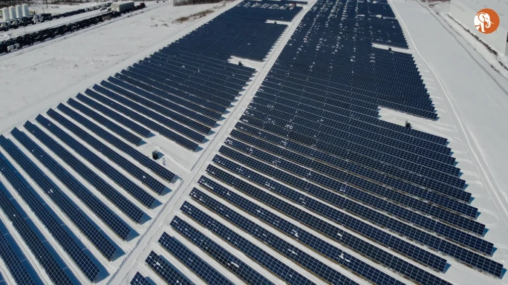 ब्राज़िल में ऊर्जा संकट: नवीकरणीय ऊर्जा अधिशेष का प्रभाव