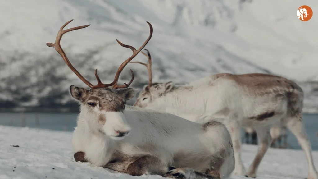 2025 में वैश्विक रुझानों का अद्यतन