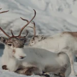 2025 में वैश्विक रुझानों का अद्यतन