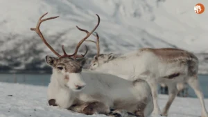 2025 में वैश्विक रुझानों का अद्यतन